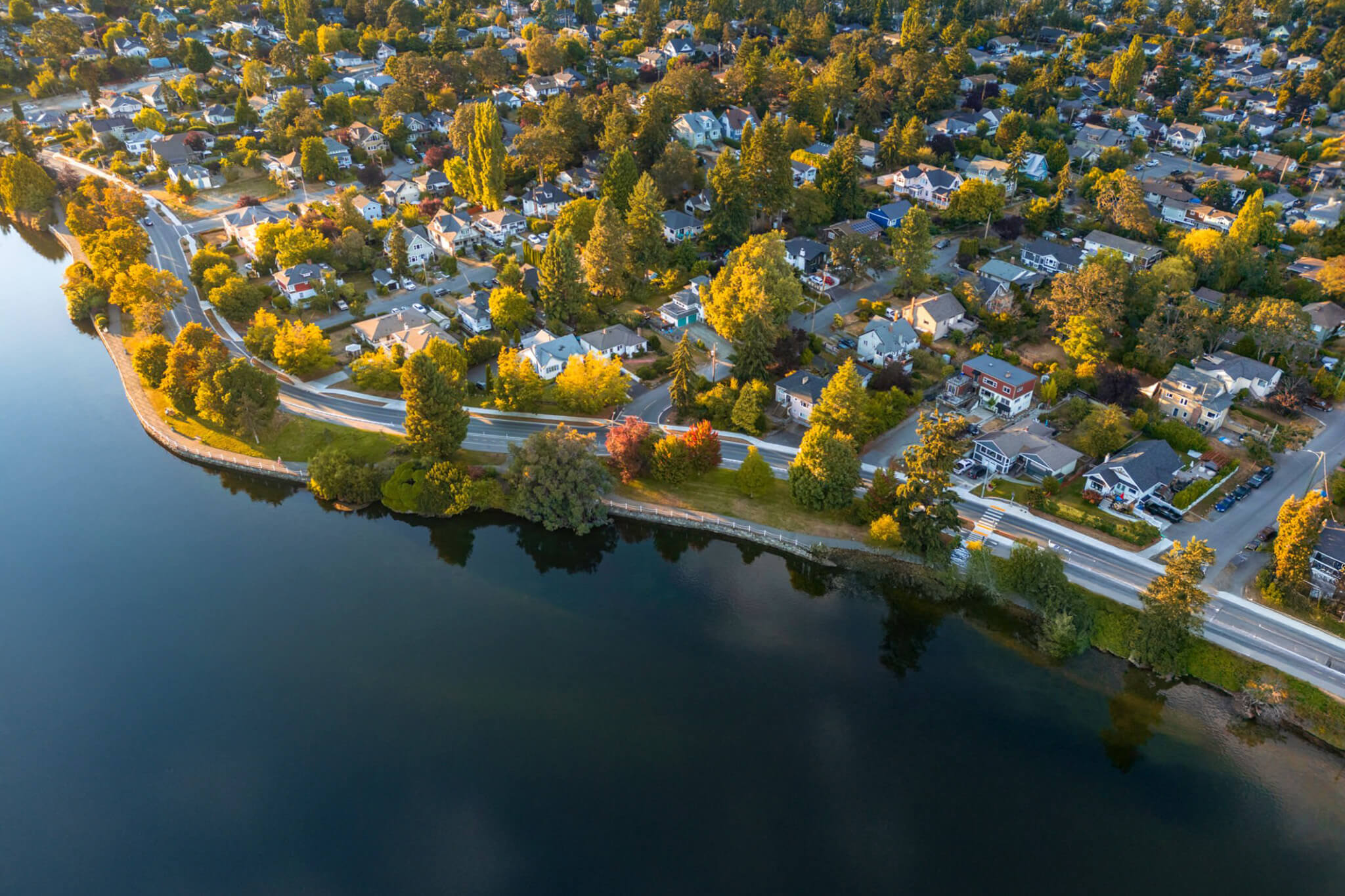 Drone view of a tree lined residential community beside a lake, showcasing homes, roads, and greenery in the Okanagan.